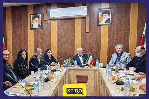 شورای راهبردی سازمان استیدو