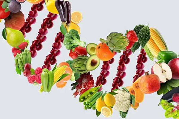 رژیم غذایی مبتنی بر ژنتیک